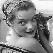Romy Schneider met kitten