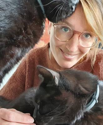 Met je kat naar de dierenarts