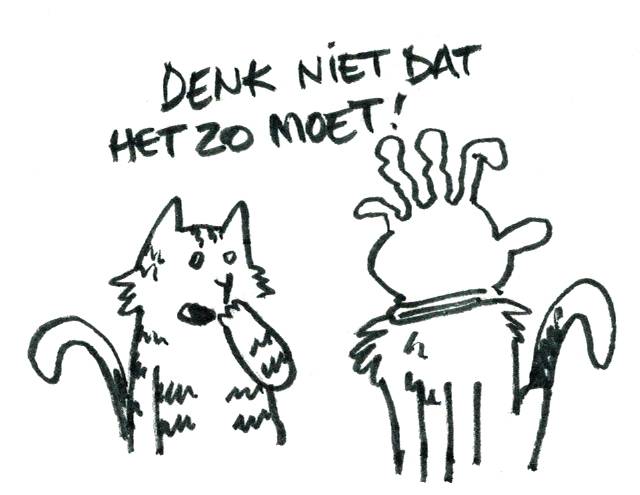 Katten hebben een gebruiksaanwijzing, wegwerphandschoenen ook.