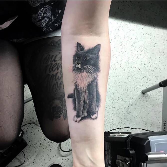 Een katten tattoo is voor eeuwig