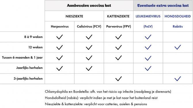 Vaccineren kan je leren: katjes-prik-je-datjes