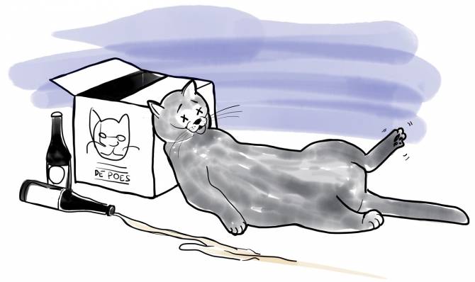 De Poes is geen kattenpis