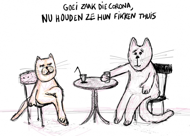 Hoe overleven kattencafés na corona?