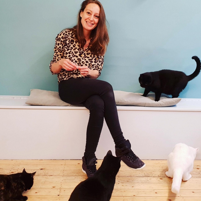 Hoe overleven kattencafés na corona?