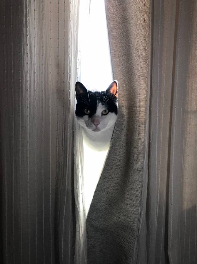 Thør weet niet van opgeven