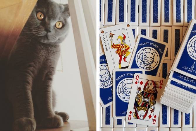 De Poes is geen kattenpis