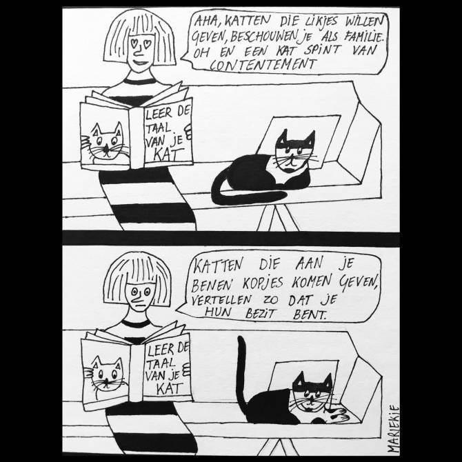 Mariekje_Quarantiekje