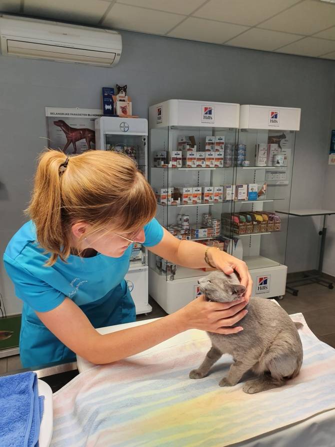 Is een jaarlijkse check-up wel nodig?