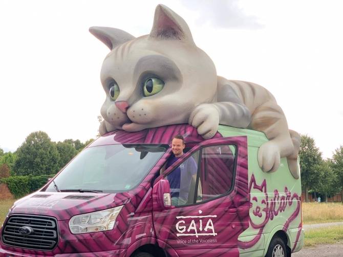 Het Kattenplan: een werk van lange adem