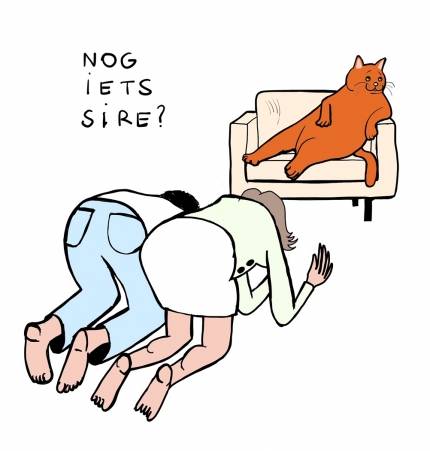 De kat domesticeerde de mens