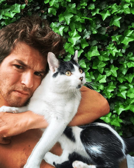 Deze bv’s adopteerden een kat