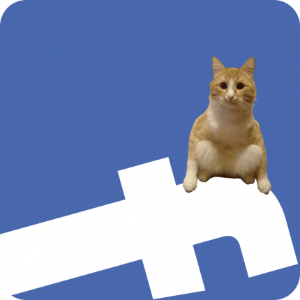 Bedrijven melken katten uit op FB