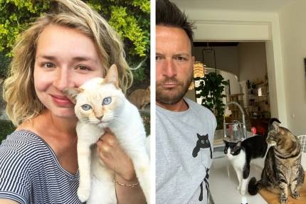 Hoe verdeel je de katten na een breuk?