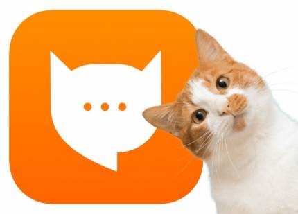 Kletsen we straks met onze kat?